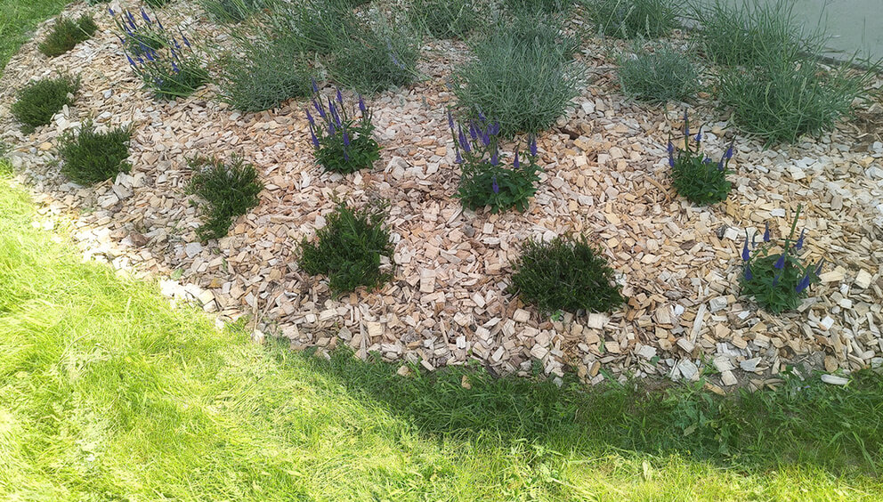 header pag Giardini ecosostenibili
