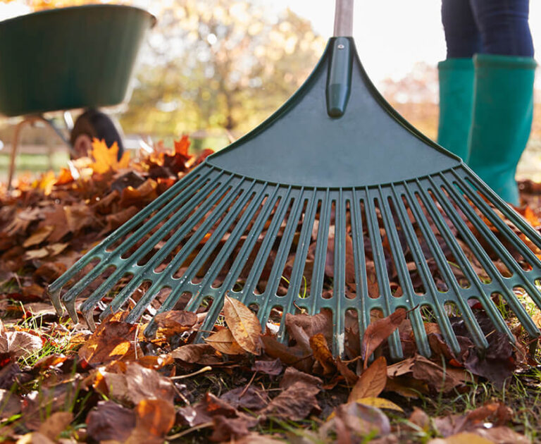 img_grande_15_12_2025_Un_giardino_in_ordine_anche_a_dicembre img_grande_15_12_2025_Un_giardino_in_ordine_anche_a_dicembre