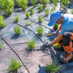 Irrigazione a regola d’arte: quando e come riattivare l’impianto dopo l’inverno